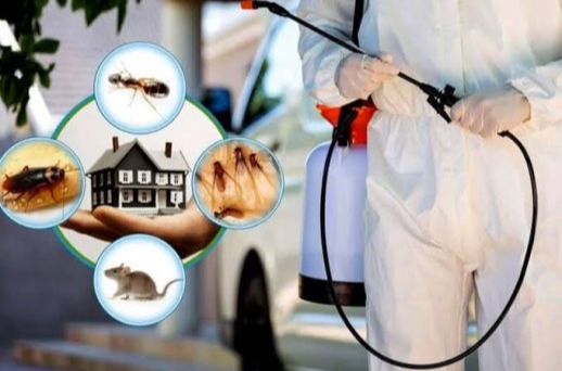 Pest And Rodent Control PT San Clean jasa karya